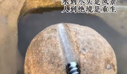 娱乐吃瓜酱铁杵磨成针