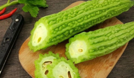 吃瓜娱乐间的作品