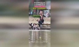 吃瓜群众视频来源是什么