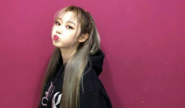 田小娟个人资料,才华横溢的音乐才女，揭秘她的成长之路