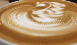 牛奶咖啡星星创作背景,一段浪漫的青春旋律