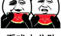 吃瓜表情包回复怎么说好听,幽默风趣的社交新宠