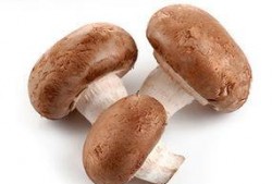 香菇年资料,探寻香菇文化的传承与创新