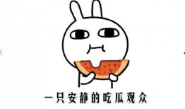 娱乐热门吃瓜事件