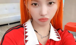 田小娟个人资料,才华横溢的音乐才女，揭秘她的成长之路