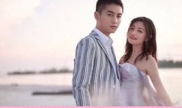 娱乐陈晓吃瓜小说,娱乐圈的甜蜜瓜田