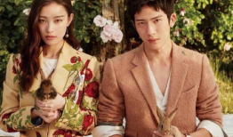 明星慈善机构,汇聚爱心，助力公益的力量