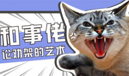 娱乐吃瓜小猫咪小说