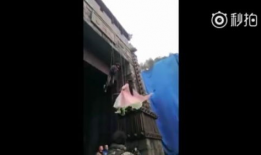 娱乐圈爆料李溪芮,揭秘明星背后的故事