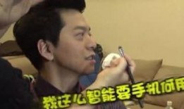 娱乐吃瓜酱司机,揭秘娱乐圈背后的故事与真相