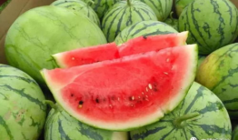 娱乐家吃瓜,揭秘明星们的“吃瓜”日常