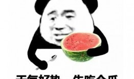 吃瓜表情包回复怎么说好听,幽默风趣的社交新宠
