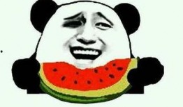 吃瓜群众视频来源是什么
