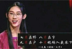 网红诗,探寻文字背后的情感世界