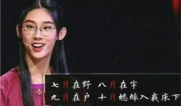 网红诗,探寻文字背后的情感世界