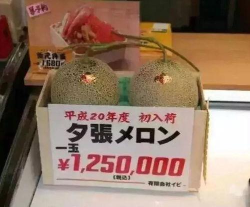 娱乐吃瓜酱礼金