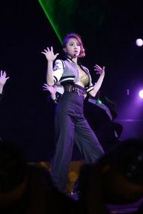 娱乐吃瓜酱演唱会